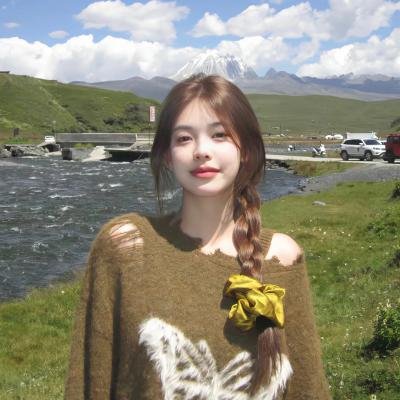 唯一的迪克·格雷戈里